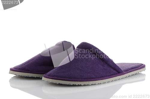 Image of A pair of purple slippers