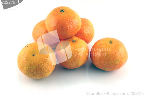 Image of Tangerines 1