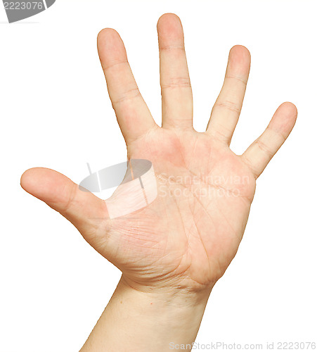 Image of man's hand