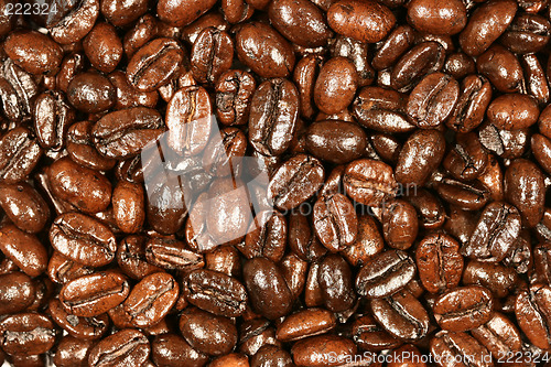 Image of Coffee beans background