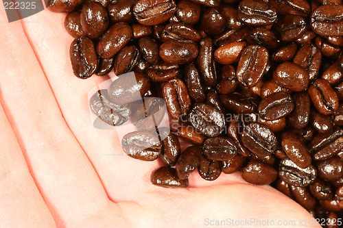 Image of Coffee beans and a hand