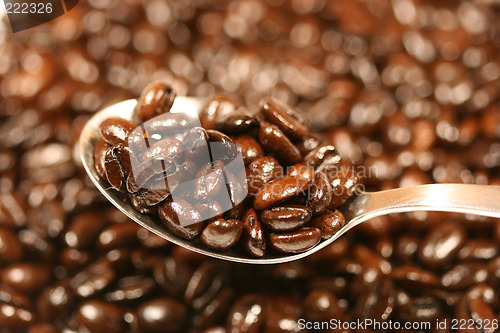 Image of Spoon with coffee beans