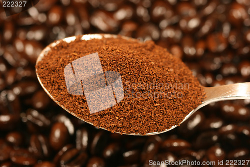 Image of Ground coffee on a spoon