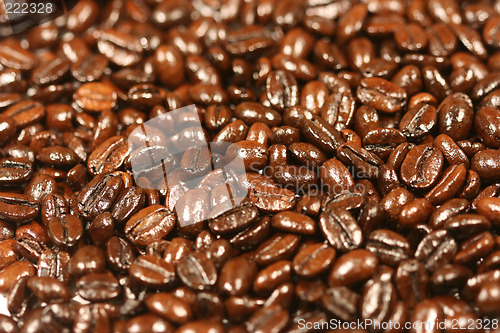 Image of Coffee beans with selective focus