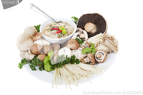 Image of Mushrooms and soup