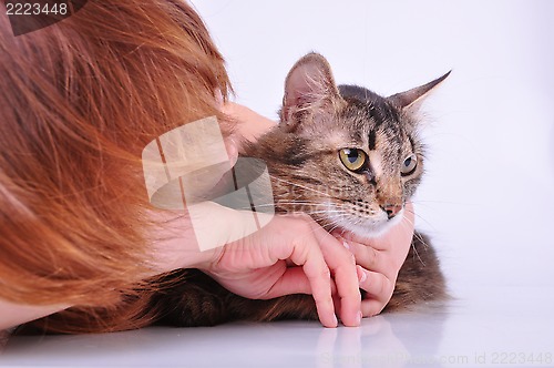 Image of little girl communicating with her pet