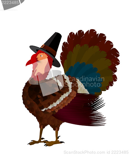 Image of Thanksgiving turkey
