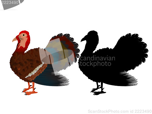 Image of Turkey illustration