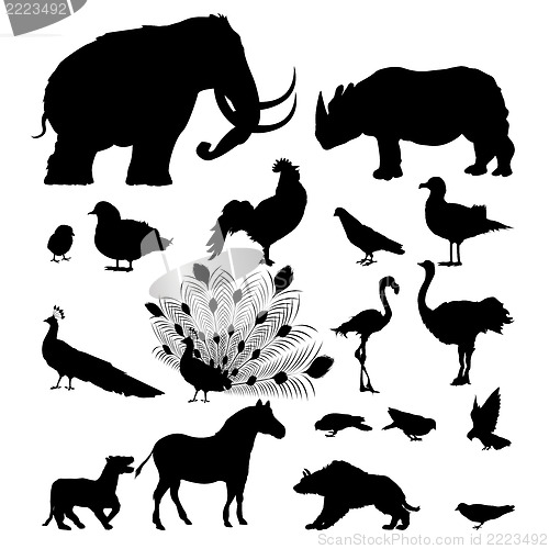 Image of Wild animal silhouettes