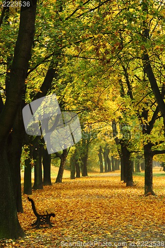 Image of easy way in the autumn park 