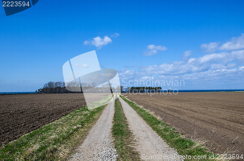 Image of Straight dirt road