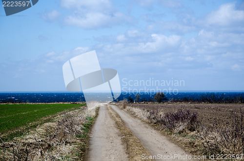 Image of Farmers dirt road to the coast