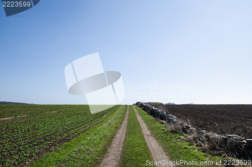 Image of Dirt road at green field