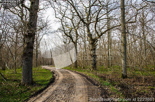 Image of Winding dirt road