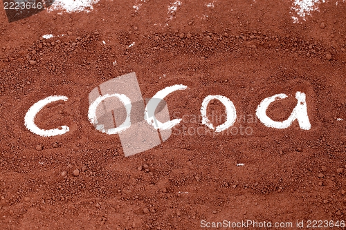 Image of Cocoa