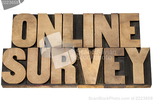 Image of online survey in wood type