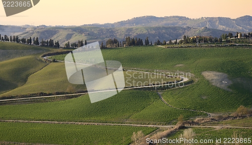Image of Tuscan hills