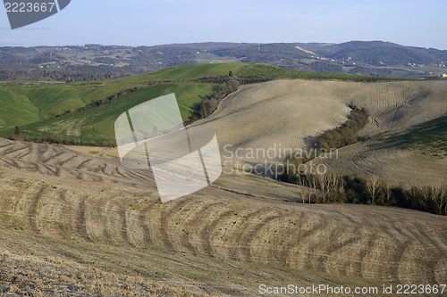 Image of Tuscan hills