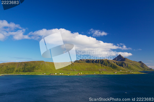 Image of Green Lofoten