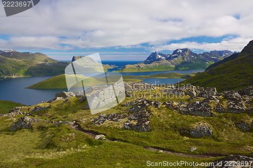 Image of Green Norway