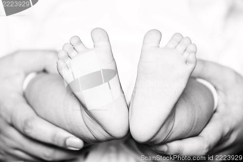 Image of Newborn baby feet on female hands 