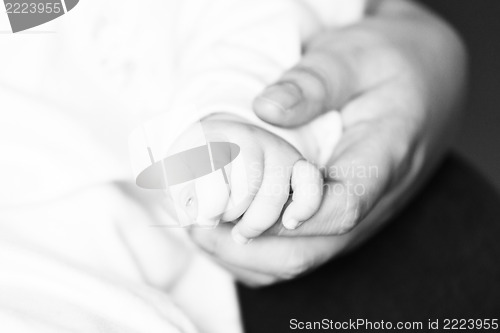 Image of Baby and mother holding hands