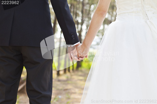 Image of Love in forest, couple hand in hand concept.