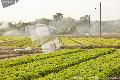 Image of Farmland and houses