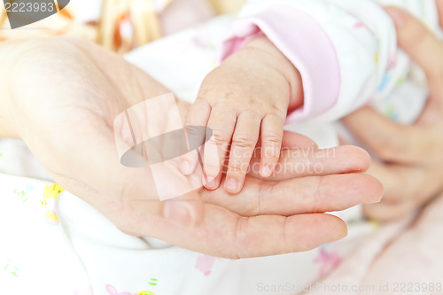 Image of Close-up of baby's hand holding mother's hand