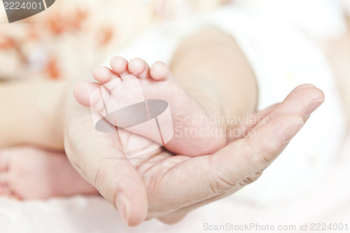 Image of New born baby feet and mother hands