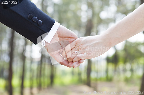 Image of Couple hand in hand, love concept