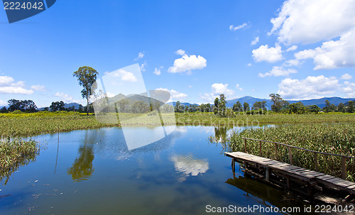 Image of Wetland pond in sunny day