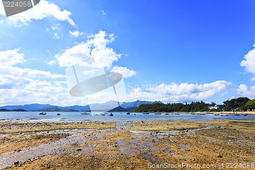 Image of Coast landscape in summer 