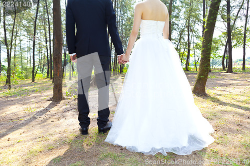 Image of Love in forest, couple hand in hand concept.