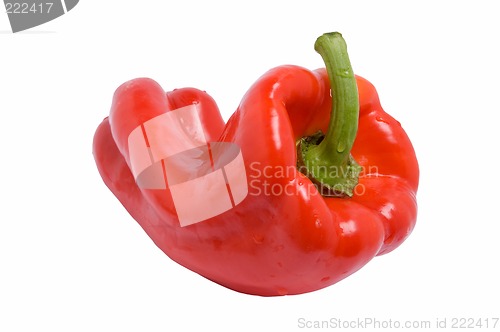 Image of Red paprika