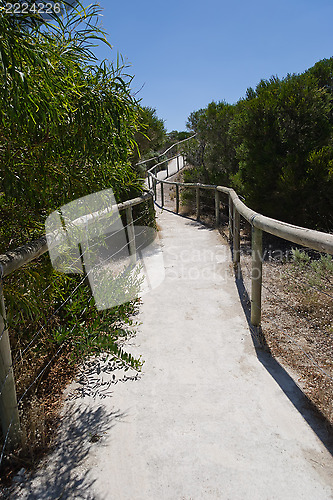 Image of Pathway