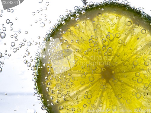 Image of slice of lime in the water with bubbles