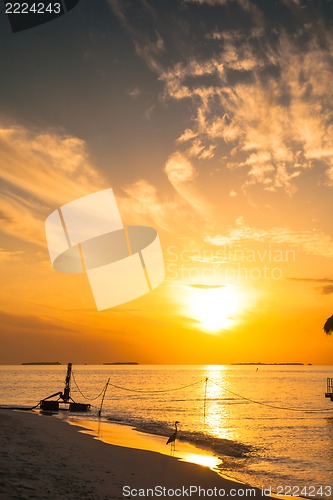 Image of Sunset Villa Standing our into the Sea