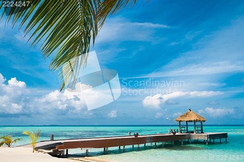Image of Maldivian house on a tropical island, travel background