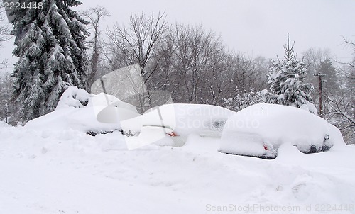 Image of After snowfall