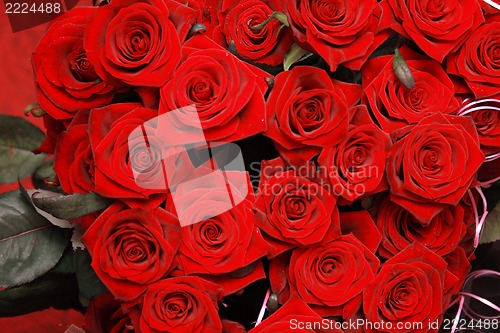 Image of roses