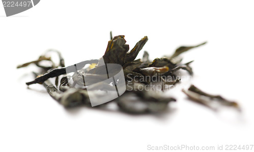 Image of Big leaf tea 