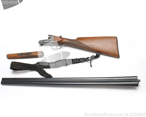 Image of shotgun