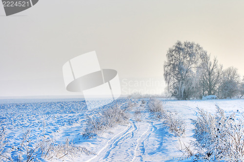 Image of landscape