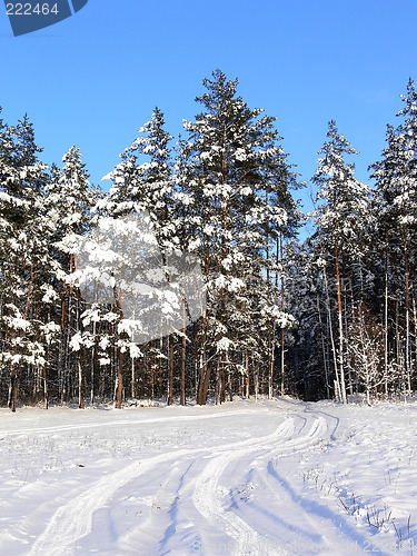 Image of Winter scene