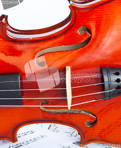 Image of Violin