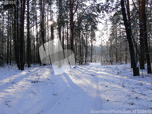Image of Winter scene