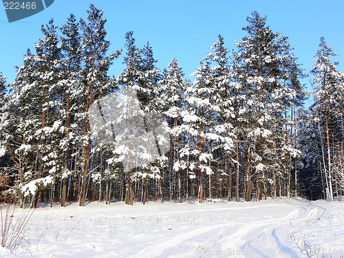 Image of Winter scene