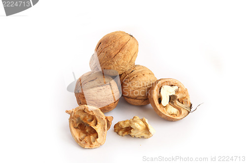 Image of walnut