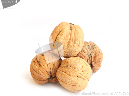 Image of walnut